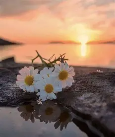 The Importance of Hydration for Overall Health and Body Function