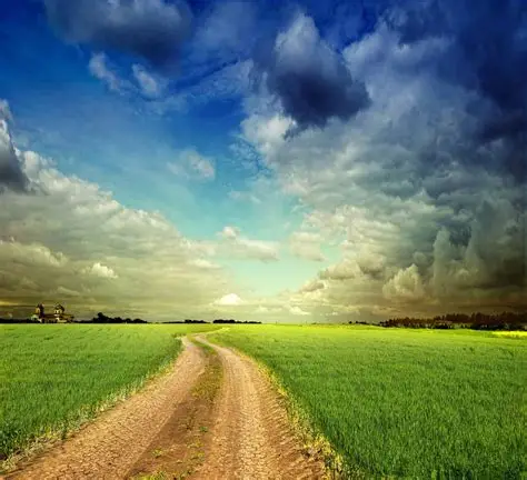 Natural Ways to Boost Your Immune System and Stay Healthy