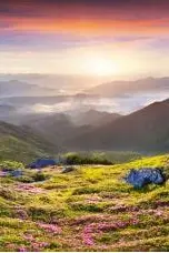 The Role of Daily Exercise in Improving Physical and Mental Health