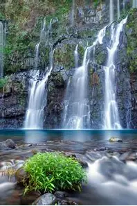 How Quality Sleep Improves Physical Health and Mental Well-Being